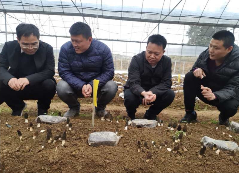 TIM图片20200506162756 TIM图片20200506162756